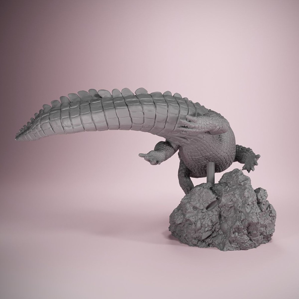 American Crocodile Swimming Po - đánh giá và giá 3D Printing Article