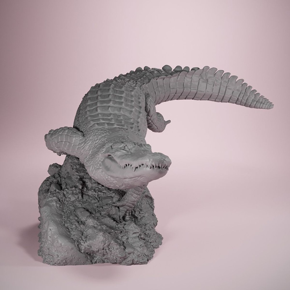 American Crocodile Swimming Po - đánh giá và giá 3D Printing Article