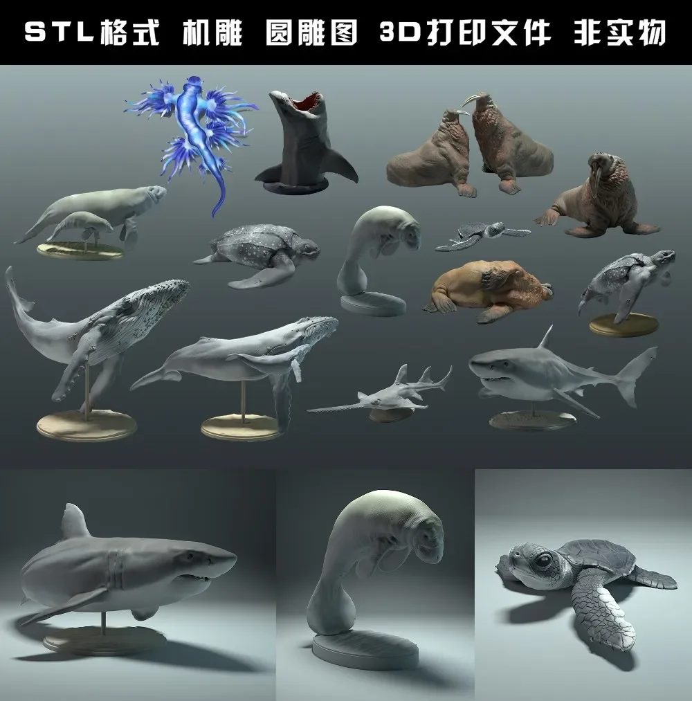 animals, polar bear, takin, wo - đánh giá và giá 3D Printing Rabbit