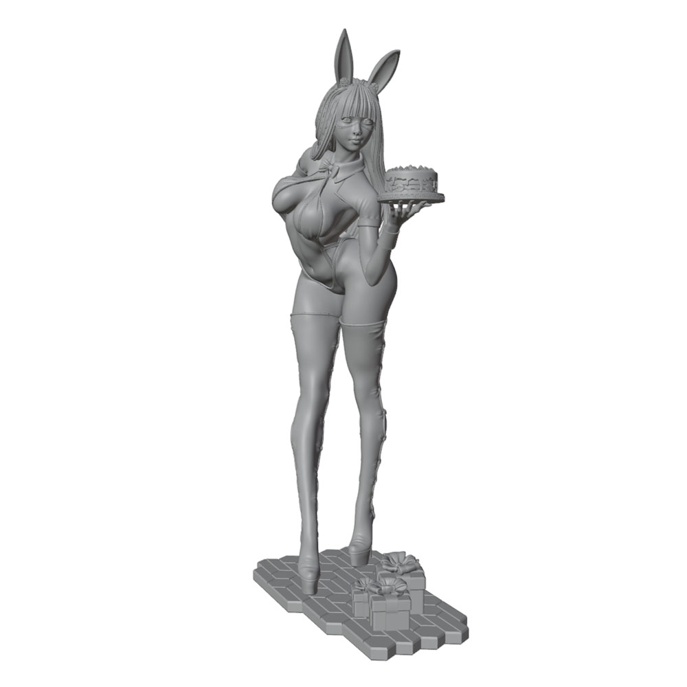 1/24/12/6 Holiday party theme  - đánh giá và giá 3D Printing Rabbit
