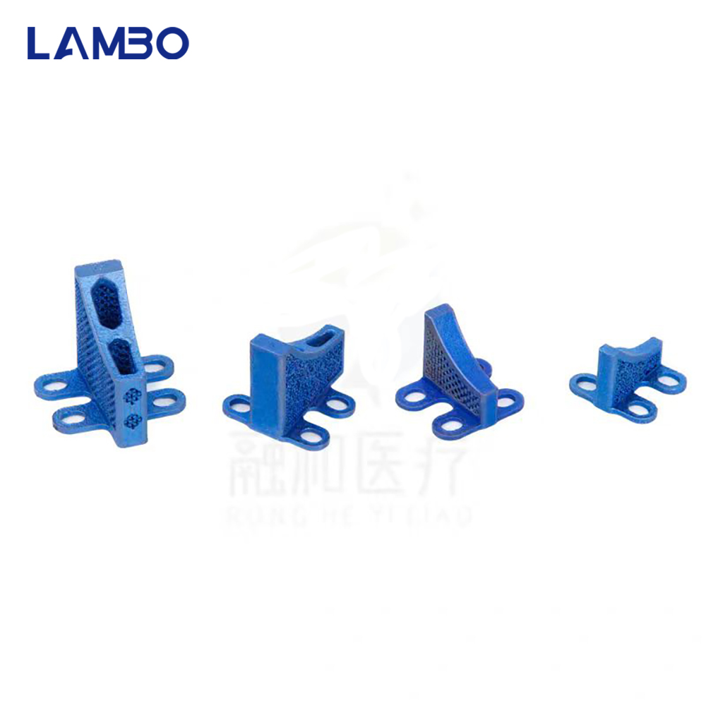3D Printing TTA System Cage Bo - đánh giá và giá 3D Printing Orthopedics