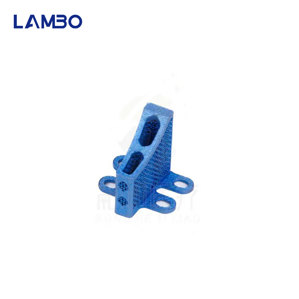 3D Printing TTA System Cage Bo - đánh giá và giá 3D Printing Orthopedics