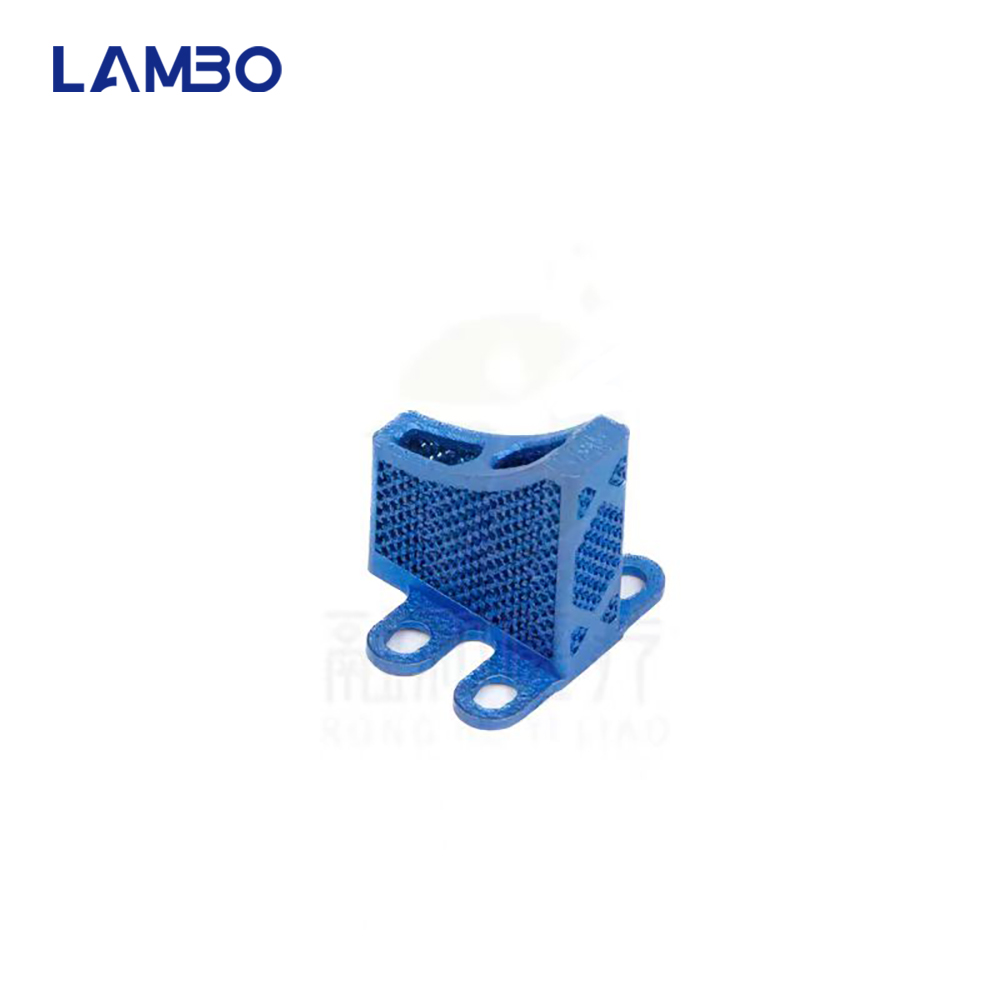 3D Printing TTA System Cage Bo - đánh giá và giá 3D Printing Orthopedics